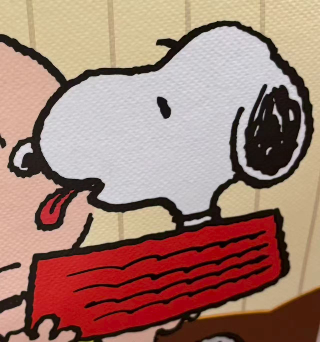 王艺霏 / Yifei Wang