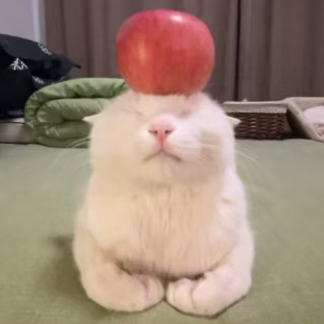 张博文 / Bowen Zhang