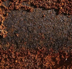 Examples of iron(III) in life